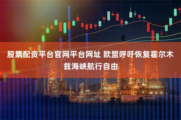 股票配资平台官网平台网址 欧盟呼吁恢复霍尔木兹海峡航行自由